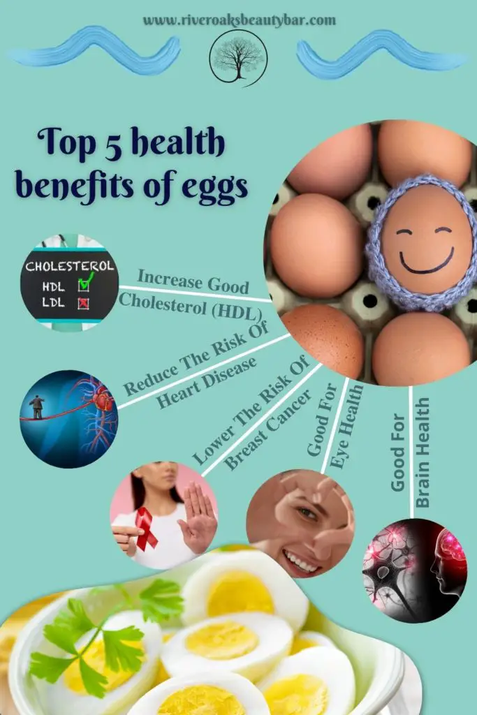 Top 5 health benefits of eggs (Infographic)