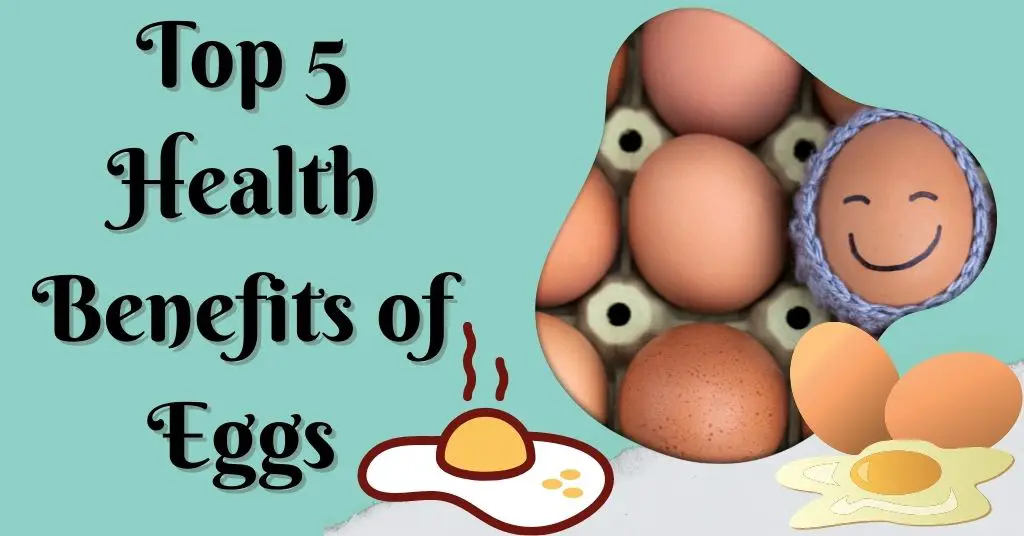 Top 5 health benefits of eggs